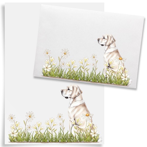 Labrador letter writing - set, a5