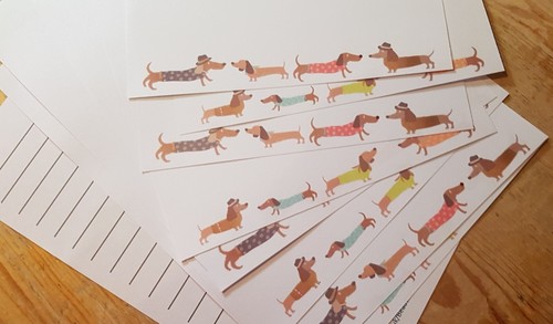 Colourful dachshund dogs - dachshund,