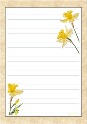Daffodil sunburst a5 writing - 'daffodil,